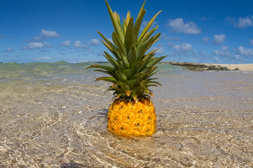 吃菠萝上火吗 菠萝营养价值大解密