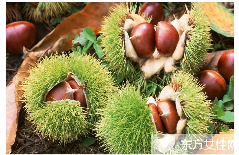 孕妇能吃板栗吗 孕妇吃板栗的八大好处