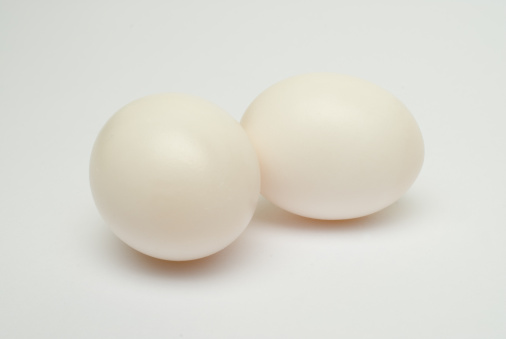 鸽子蛋有营养吗 鸽子蛋的吃法有哪些