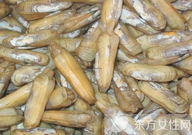 蛏子该怎么洗 三大步骤教你轻松搞定