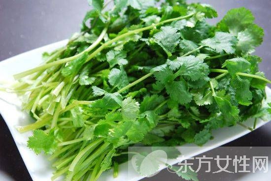 男性吃香菜杀精子吗 香菜有效于减少眼疾