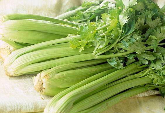 芹菜的6种药效 99%的人都不知道