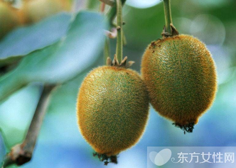 什么水果含维生素c 这5种让你越吃越年轻