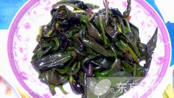 苏叶的功效与作用 这些妙用很多人都不知道哦