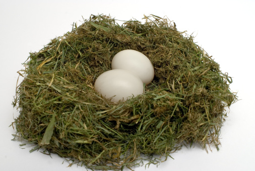 鸽子蛋有营养吗 鸽子蛋的吃法有哪些