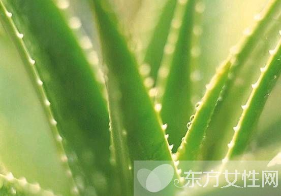 红霉素软膏祛痘效果好吗 日常祛痘小妙招推荐