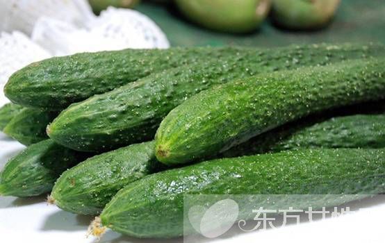 一根黄瓜的热量是多少 吃黄瓜减肥的禁忌你知道吗