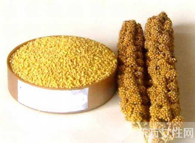 粟米是什么米 它的营养价值居然是大米的4倍