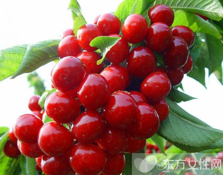 健康生活小知识推荐 压力大睡不着吃这些就对了