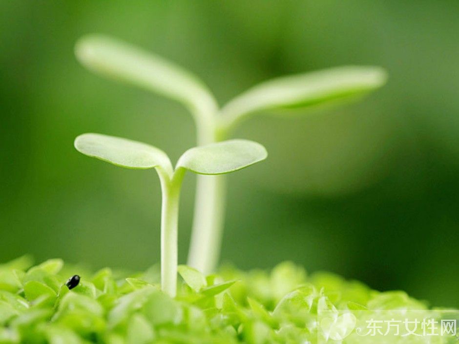 春季饮食养生小常识 春天应该注意哪些饮食禁忌