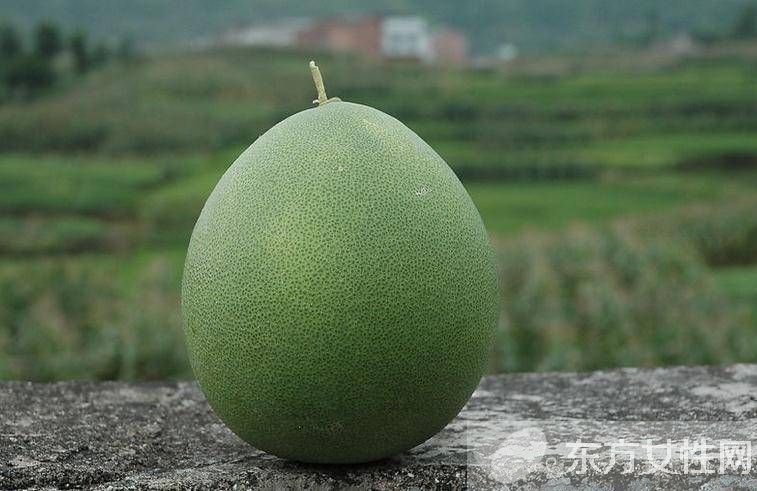 柚子在什么季节成熟 柚子与药品同食后果太吓人