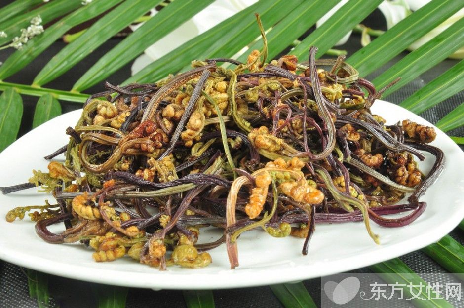 野蕨菜的营养价值 这些美味做法你尝试过吗