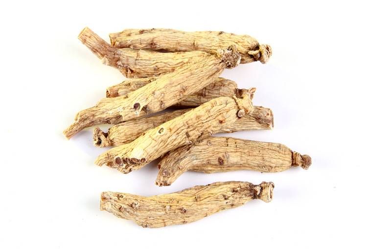 高端蔬菜东洋参 功效与作用以及食用方法推荐