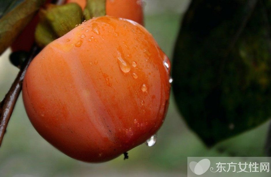 柿饼的功效与作用以及食用方法 柿饼的做法大公开