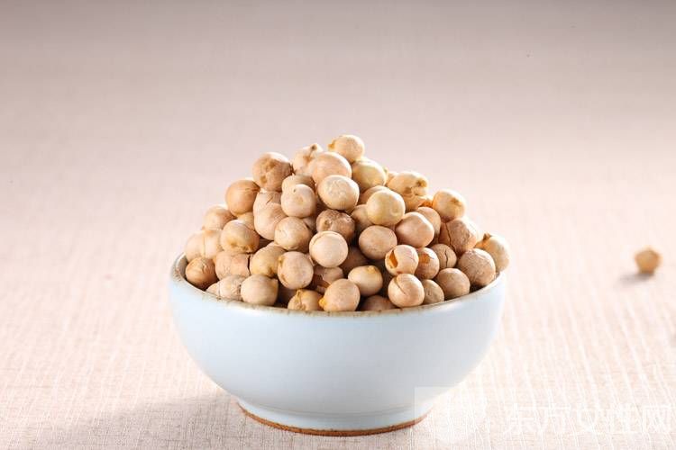 鹰嘴豆的营养价值介绍 最受欢迎的做法推荐