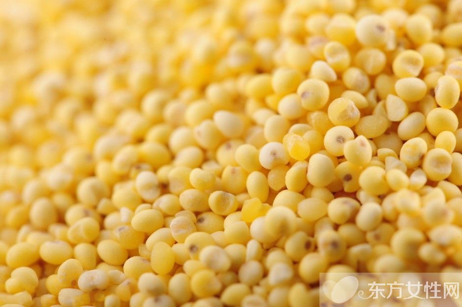 粟米是什么米 它的营养价值居然是大米的4倍