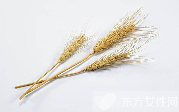 燕麦的功效与作用 常吃燕麦有美白淡斑的效果哦