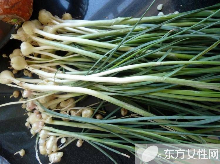 阳虚体质吃什么好 这些温补肾阳的秘方赶紧收起来