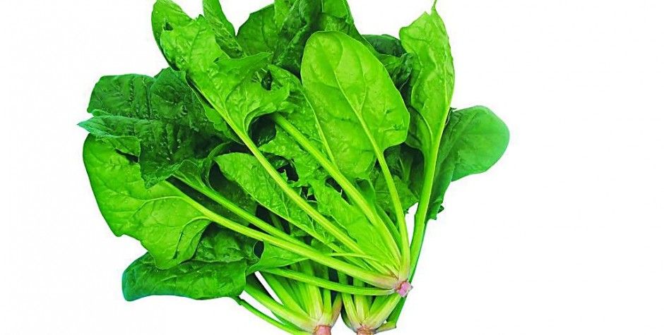 药品常识 这些家庭常用药绝对不能和食物混着吃