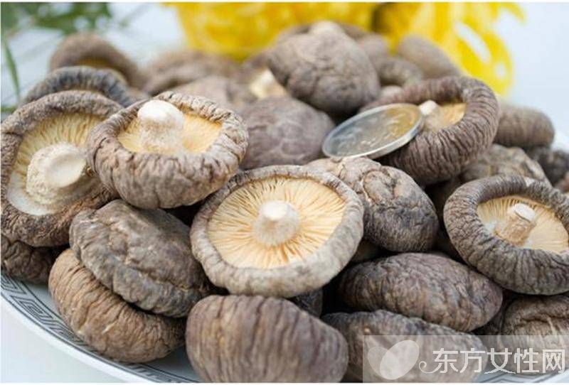 冬菇的营养价值介绍 美味冬菇肉饼的家常做法推荐