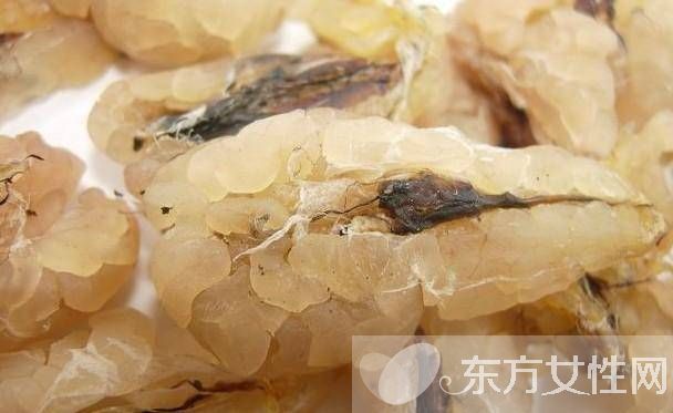 蛤蟆油的功效与作用 男人吃了效果你懂的