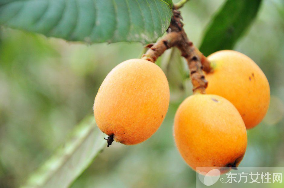 立夏身体健康小常识 这些事情千万不能做