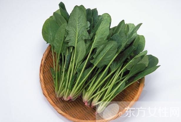 春季养生保健知识 春天吃这些一年不生病