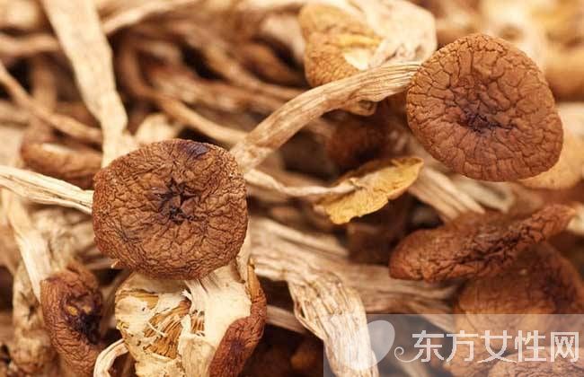 茶树菇煲鸡汤的做法 茶树菇还可以搭配这些美味