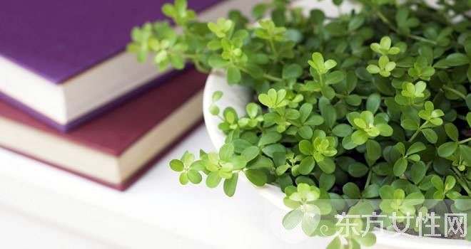 夏天常见疾病 六类疾病的症状与预防知识介绍