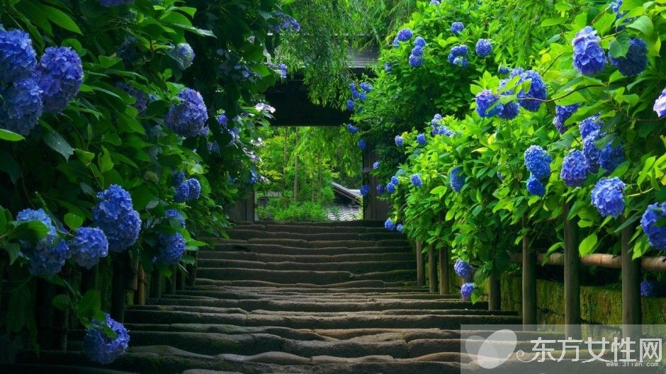 春季养生保健知识 这些 伪健康 食物最好少吃