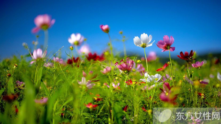 春天养生之道推荐 做好这三点身体棒棒哒