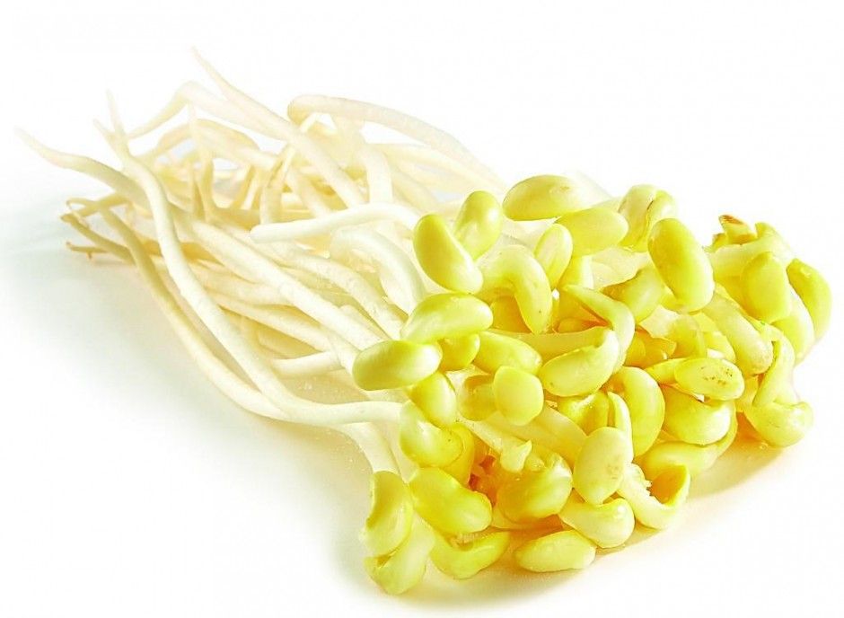 春季养生之道推荐 做好十点让疾病远离你