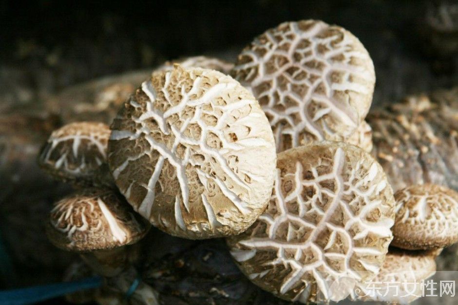 花菇和香菇的区别 花菇的营养价值居然这么高