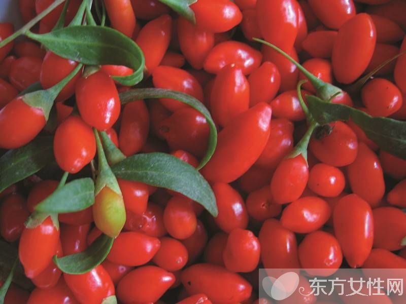 枸杞子泡水放多少 这类人群最好不要吃枸杞哦