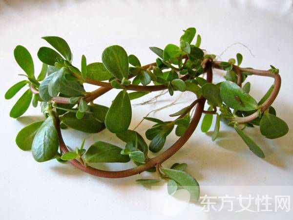 除湿的食物有哪些 这些食物居然胜过灵丹妙药