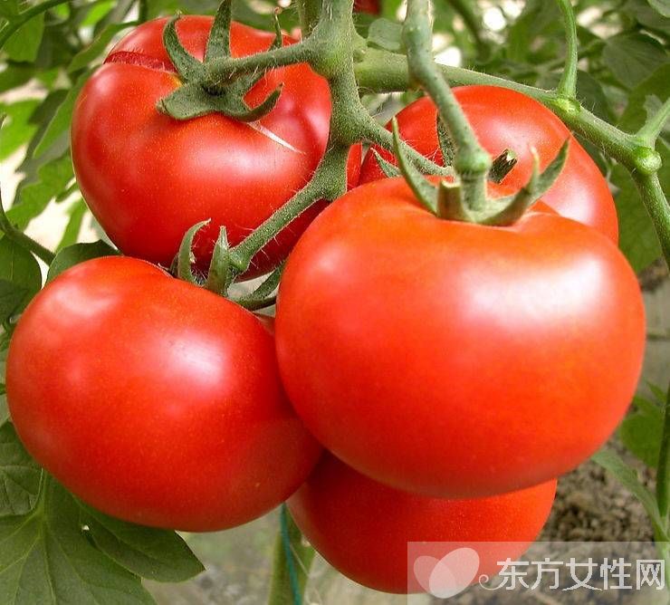 吃西红柿可以祛斑吗 西红柿的功效居然那么多