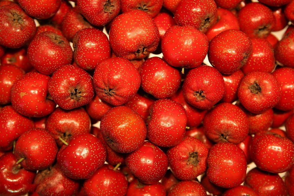 化疗期间吃什么 营养膳食很关键