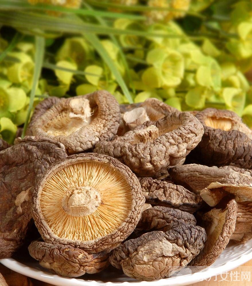 冬菇的营养价值介绍 美味冬菇肉饼的家常做法推荐