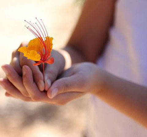 如何把单身生活过得充实有质量感