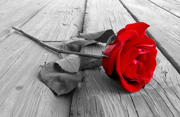 失恋必经阶段 要怎么做才能忘记失恋痛苦