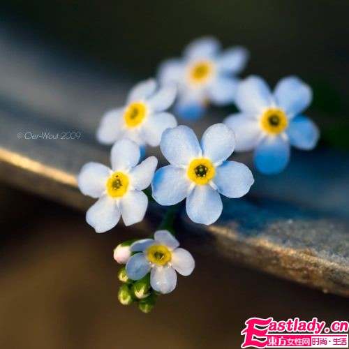 女人出轨后要怎样亡羊补牢