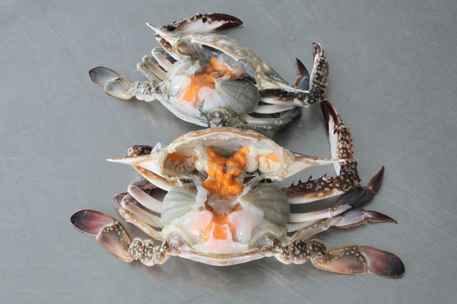 海蟹的两种家常做法 哪种人不宜吃海蟹