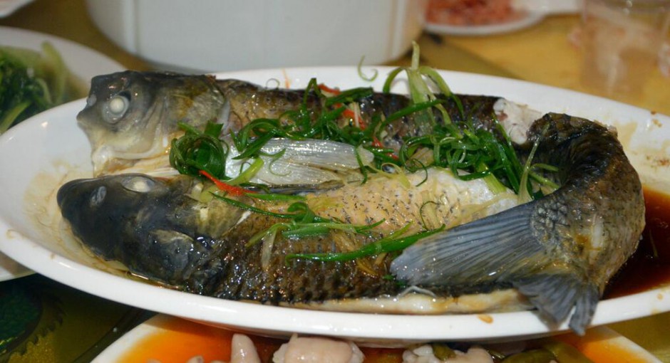 清蒸鱼怎么做最美味 探究鱼的营养价值