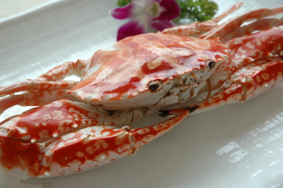 海蟹的两种家常做法 哪种人不宜吃海蟹