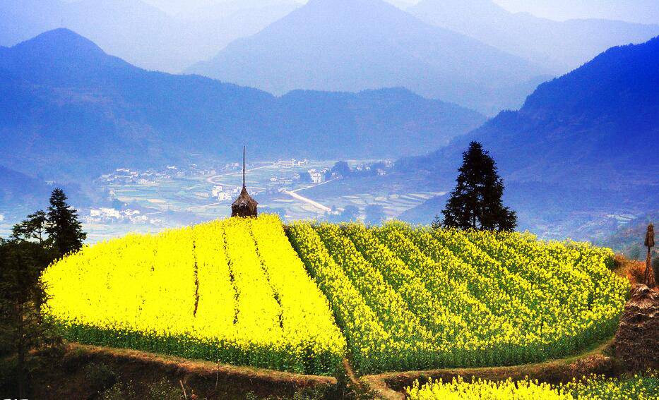 国内蜜月圣地分分钟完爆马尔代夫