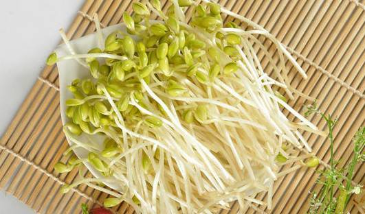 手把手教你豆芽菜的营养做法