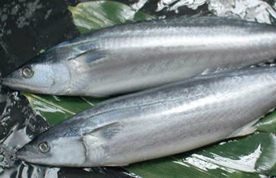 茄汁鱼的做法大公开 揭茄汁鱼的营养价值