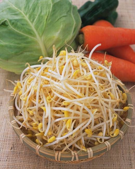 手把手教你豆芽菜的营养做法