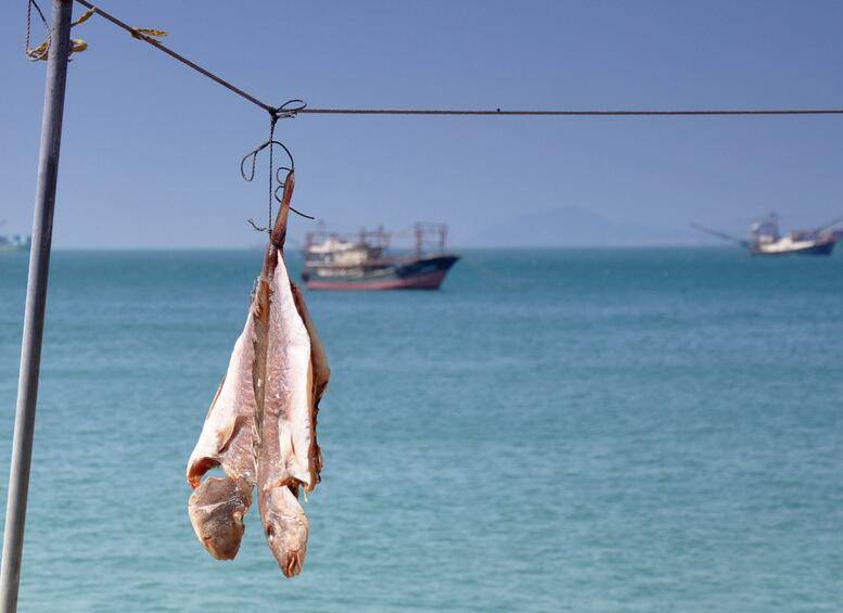 好吃到流泪的咸鱼腌制方法大公开