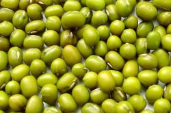 冰镇绿豆沙的做法 绿豆有哪些功效与作用